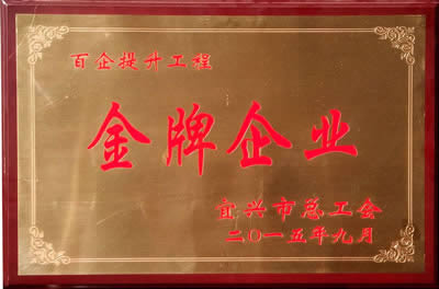 我公司被宜兴市总工会授予“百企提升工程金牌企业”光荣称号。